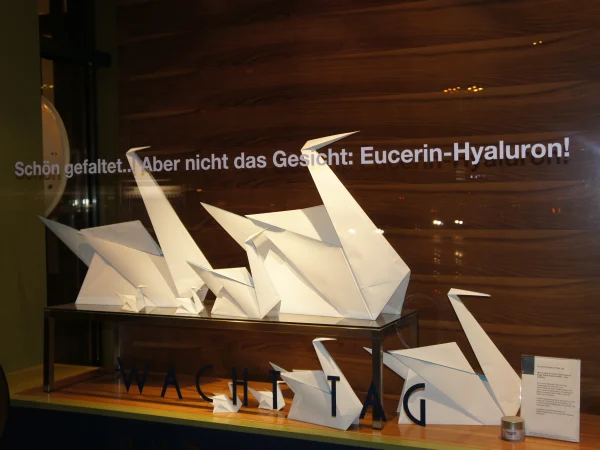 Bellevue-Apotheke Schaufenster